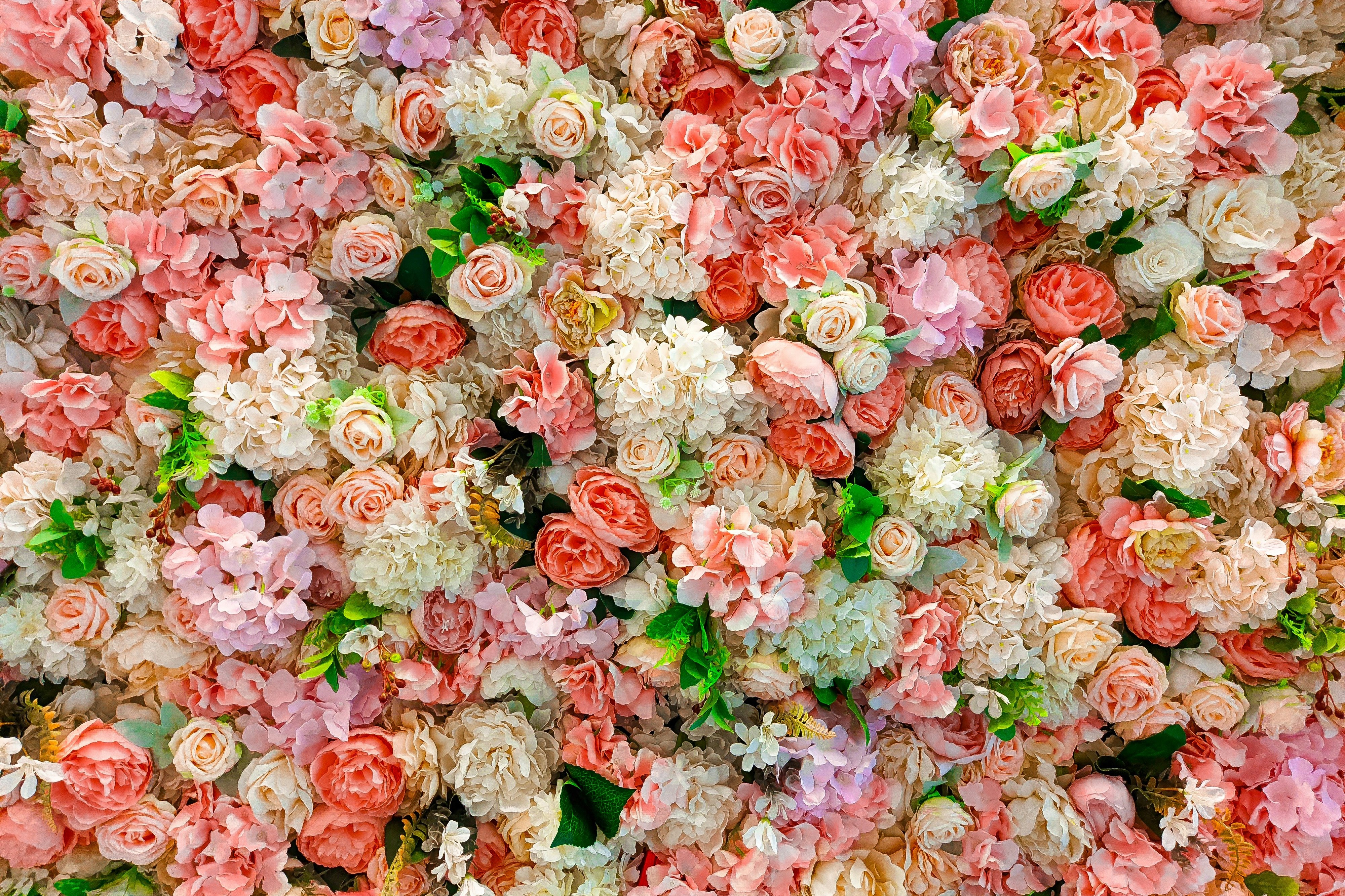 about-us-standard-media